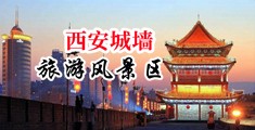 肏欧美骚女骚屄中国陕西-西安城墙旅游风景区